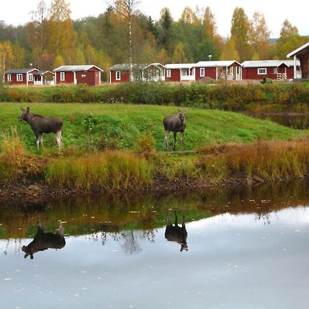 Klaraelvens Camping Stollet Номер фото